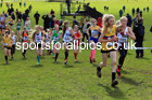 Girls Under-13s 2022 CAU Inter Counties Cross Country, Prestwold Hall, Loughborough.  Photo: David T. Hewitson/Sports for All Pics